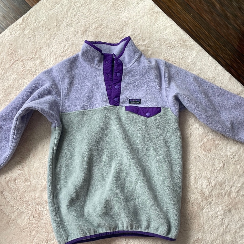 Brand new condition Patagonia swearshirt